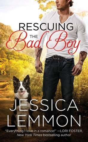 Second Chance book cover 2
