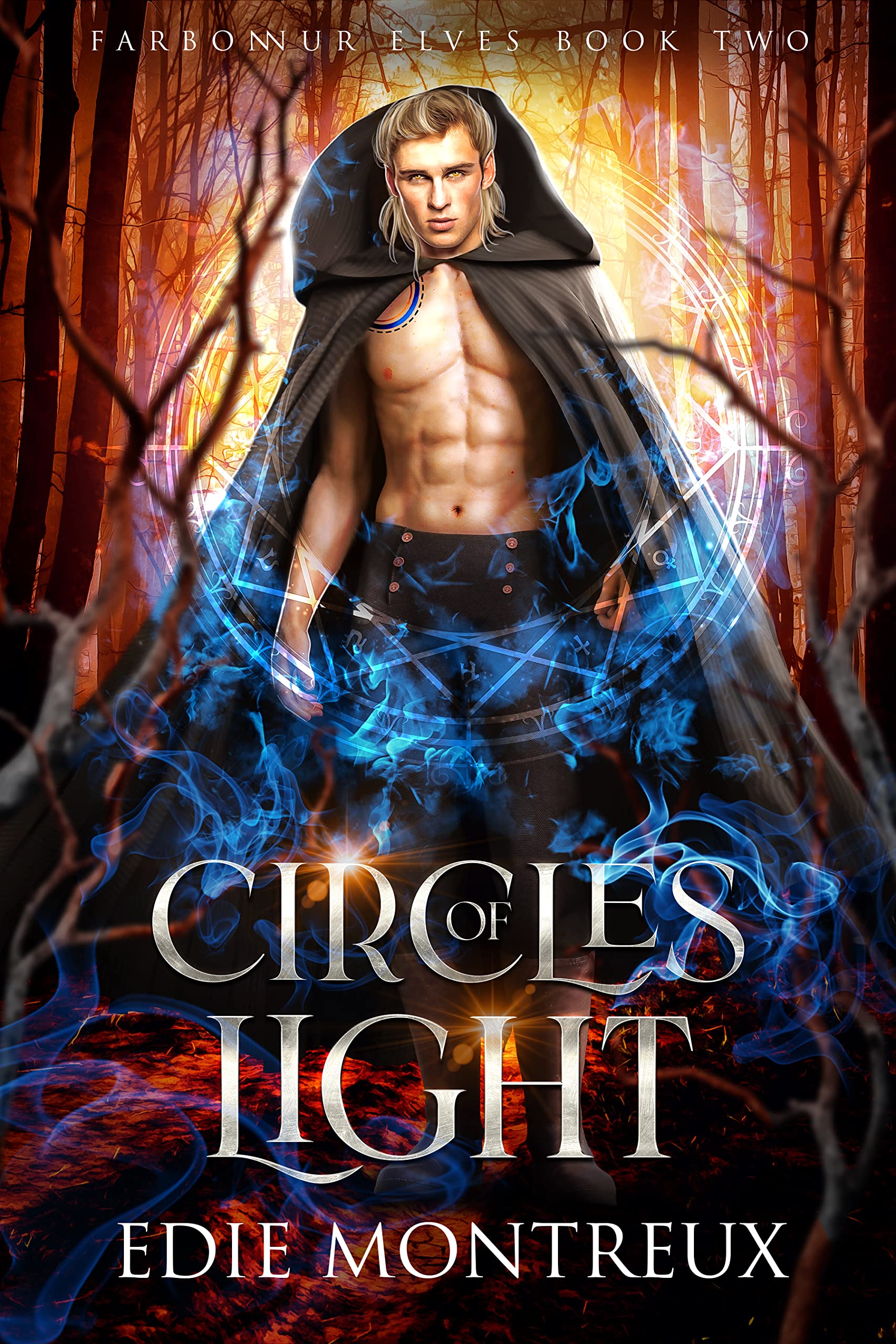 Farbonnur Elves book cover 2