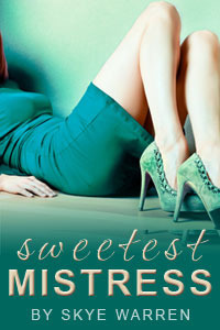 Fem Dom book cover 1