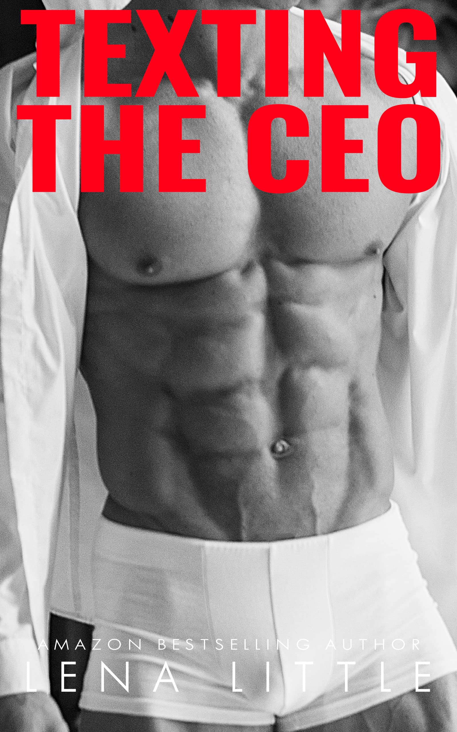 Texting The CEO book cover