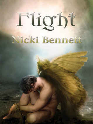 Flight book cover