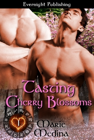 The Year of Hearts book cover 1
