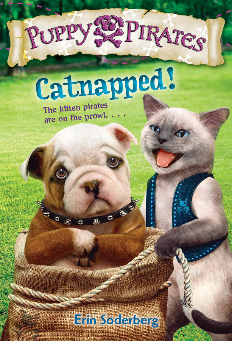 Puppy Pirates book cover 3