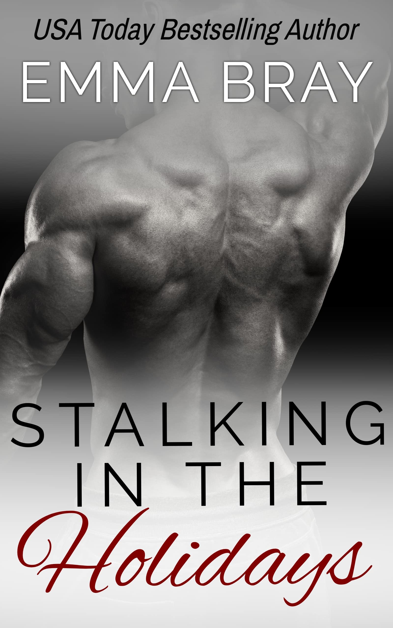 Stalking in the Holidays book cover
