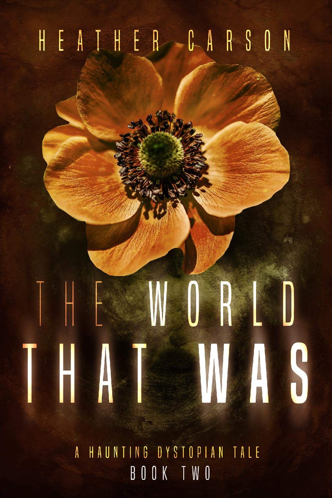 A Haunting Dystopian Tale book cover 2