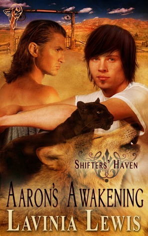 Aaron's Awakening book cover