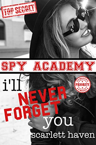 I'll Never Forget You book cover