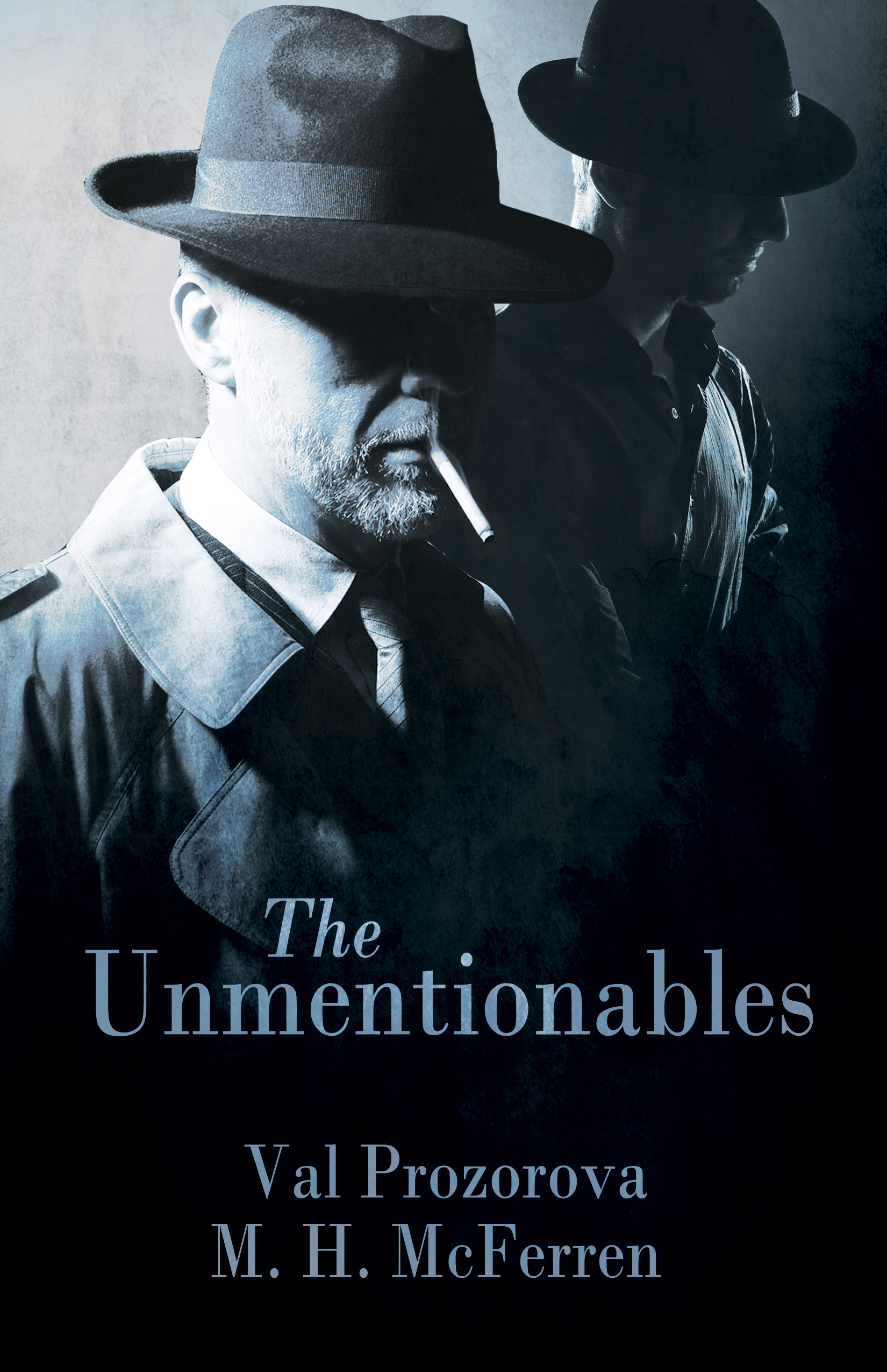 The Unmentionables book cover