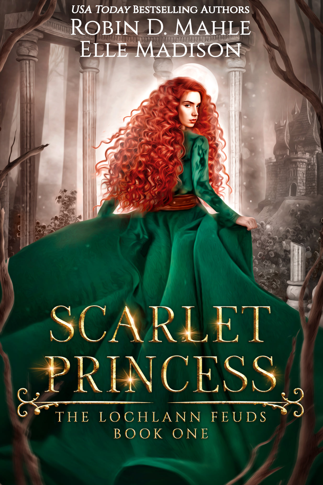 The Lochlann Feuds book cover 1