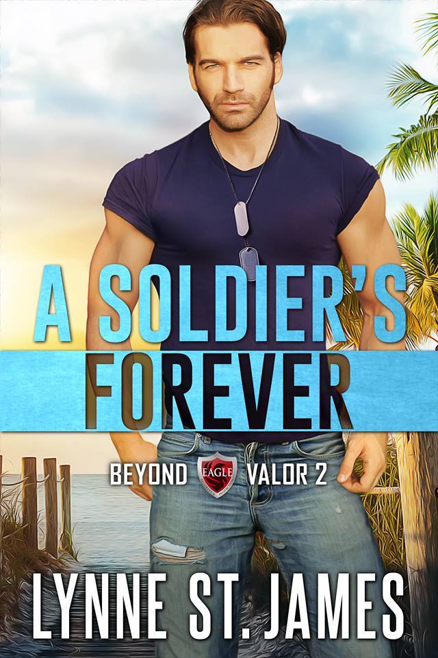 Beyond Valor book cover 2
