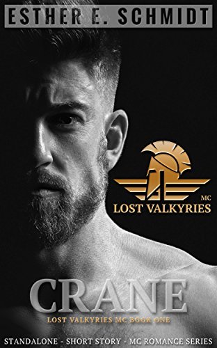Lost Valkyries MC book cover 1