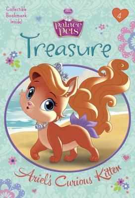 Treasure book cover