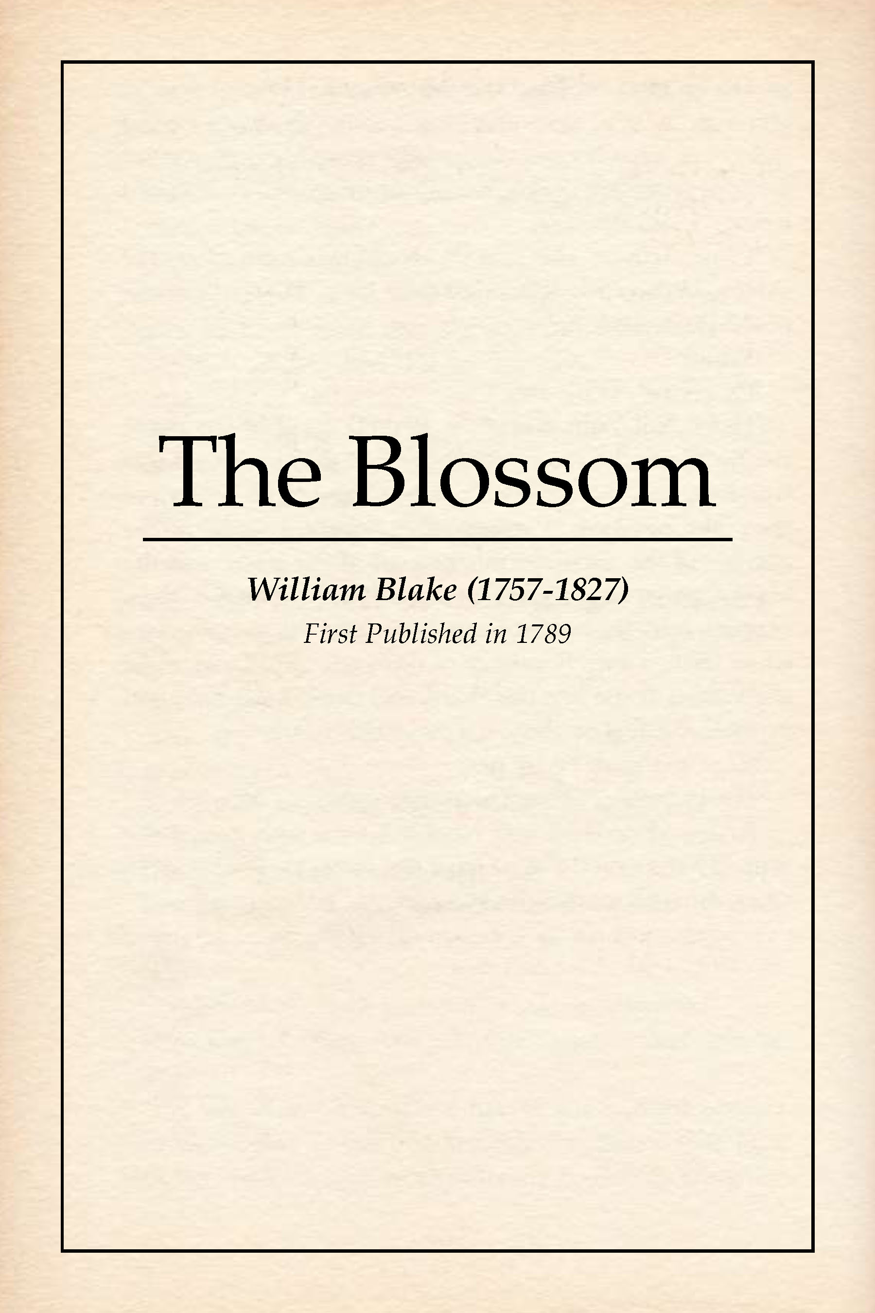 The Blossom book cover