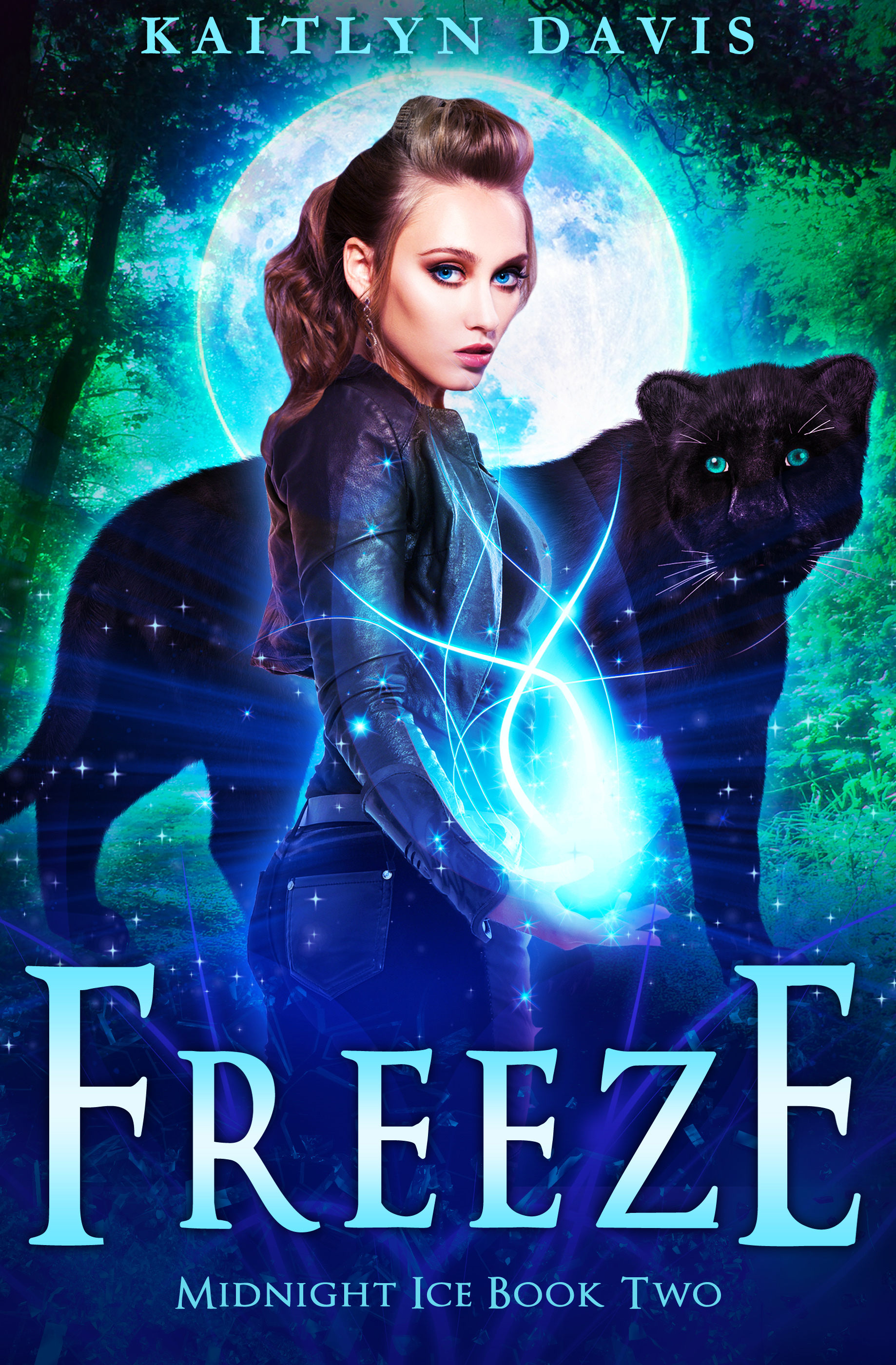 Midnight Ice book cover 2