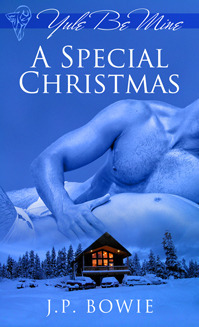 A Special Christmas book cover