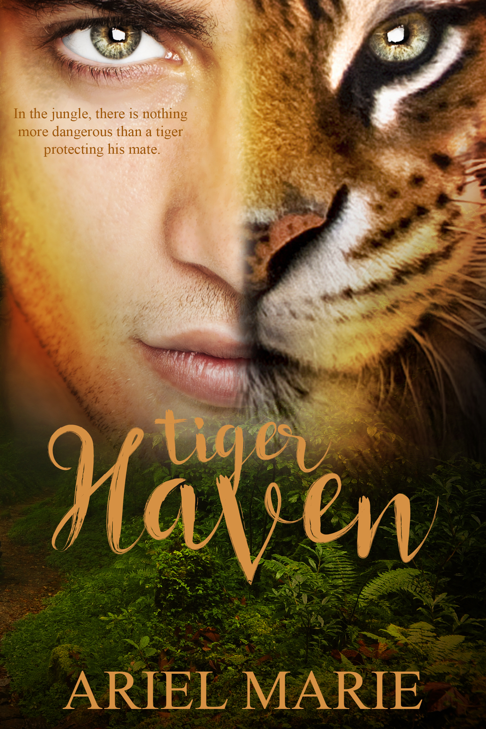 Tiger Haven book cover