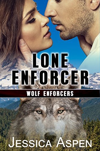 Lone Enforcer book cover