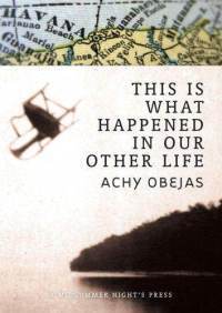 This Is What Happened in Our Other Life book cover