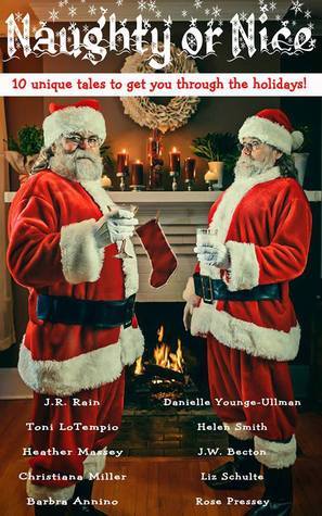 Naughty or Nice book cover
