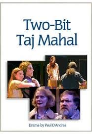 Two-Bit Taj Mahal book cover