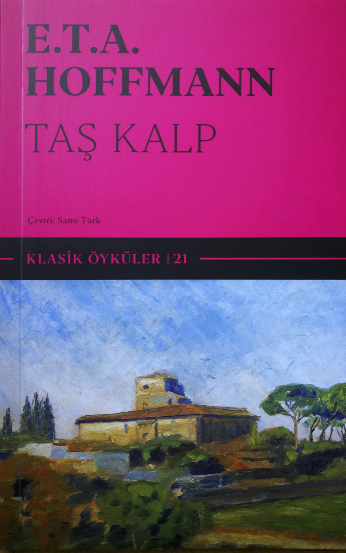Taş Kalp book cover