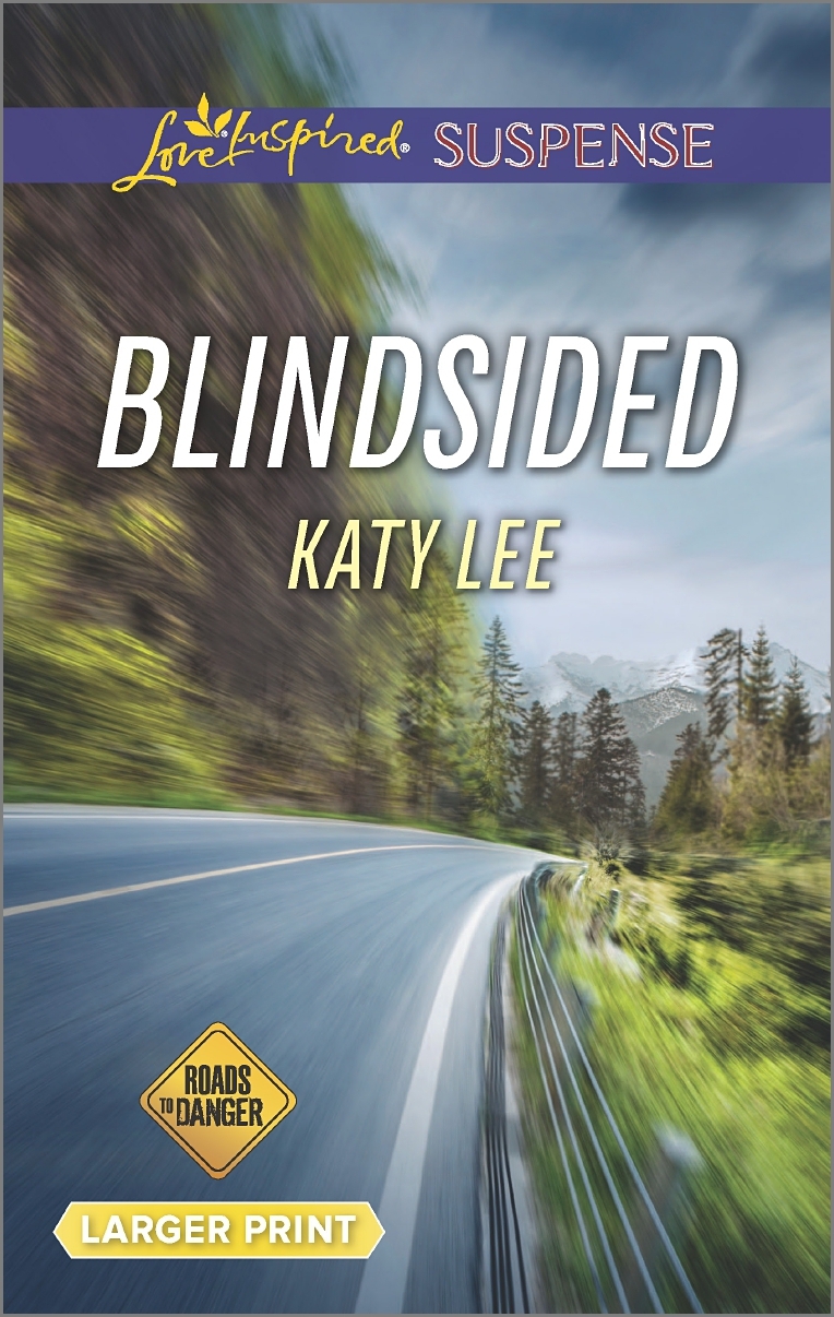 Roads to Danger book cover 2