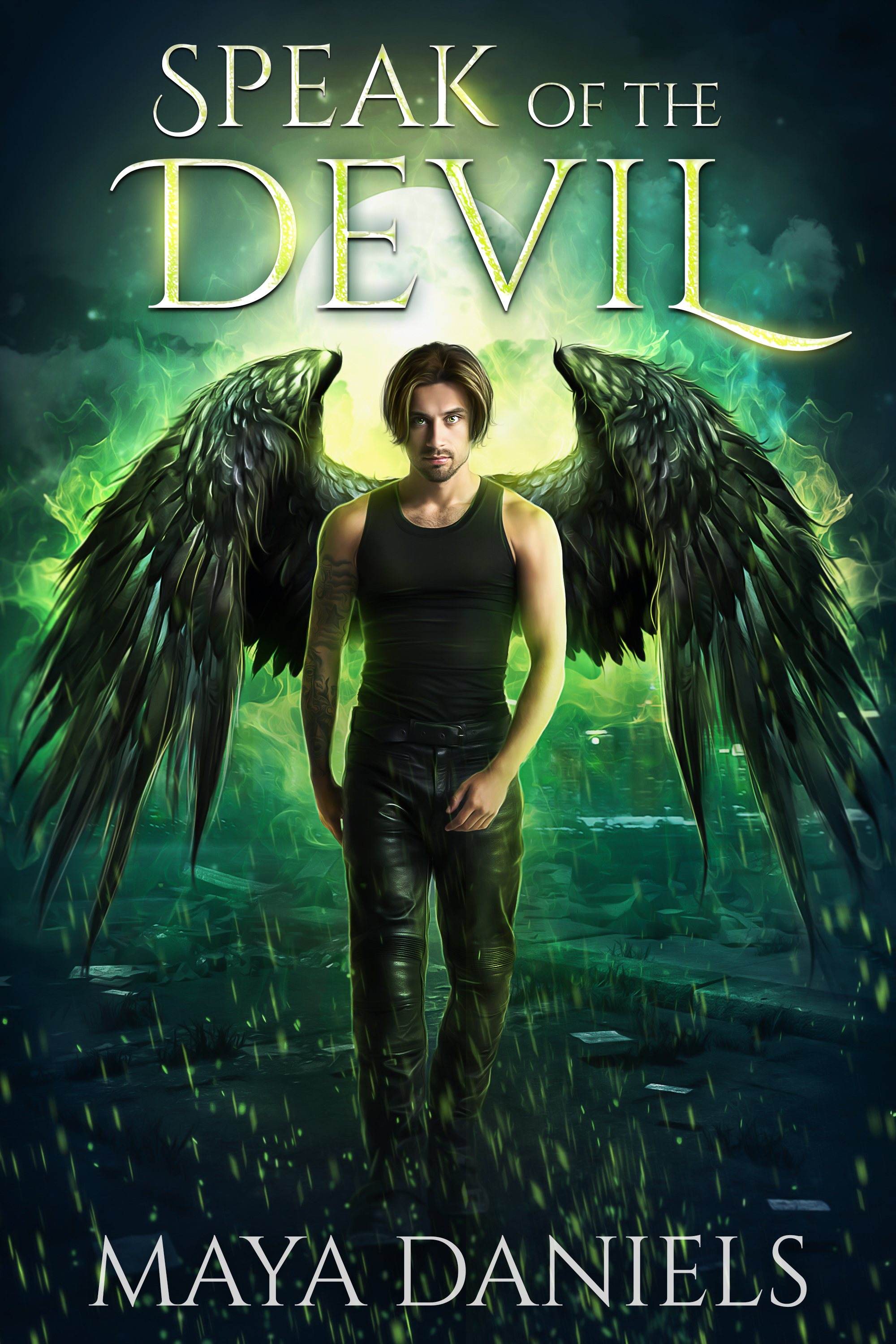 Broken Halos book cover 2