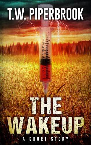 The Wakeup book cover