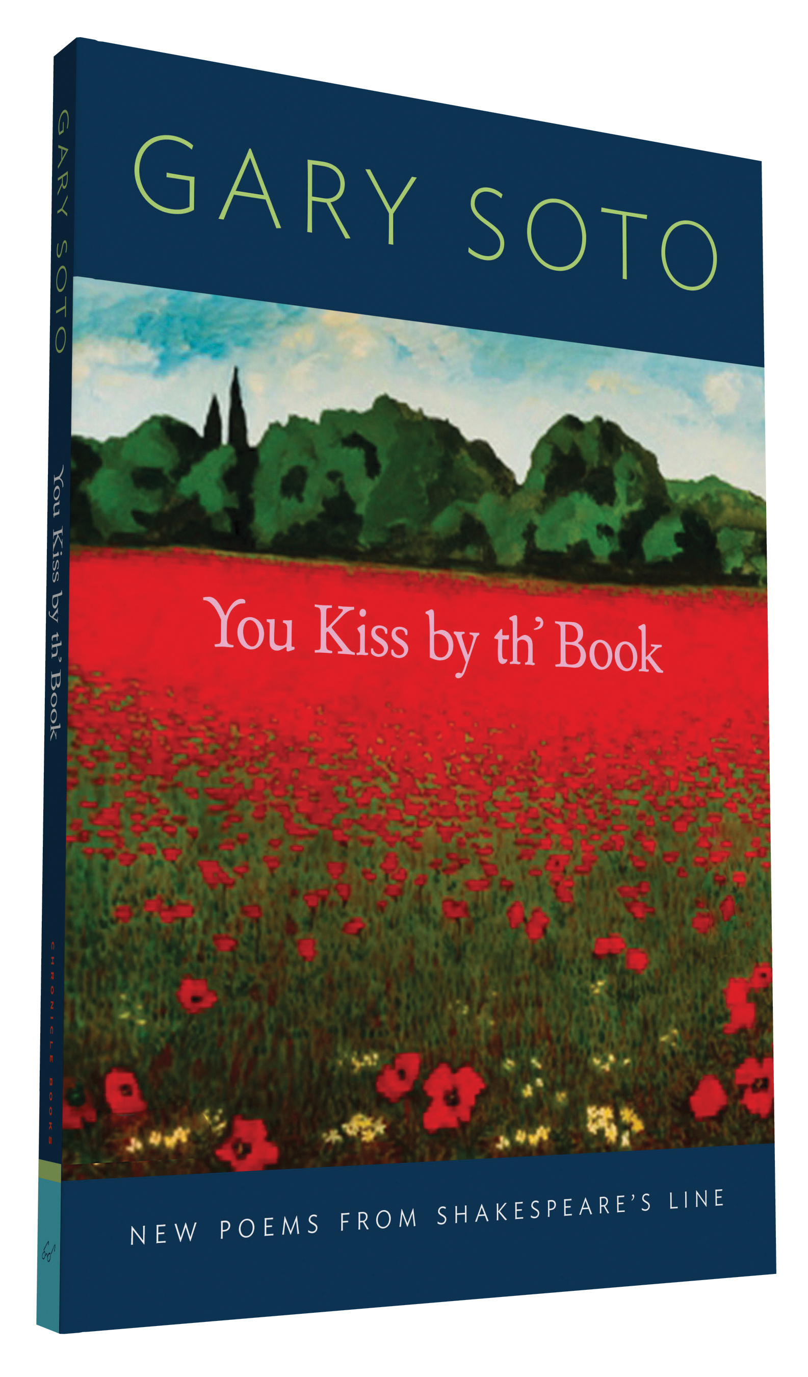 You Kiss by th' Book book cover