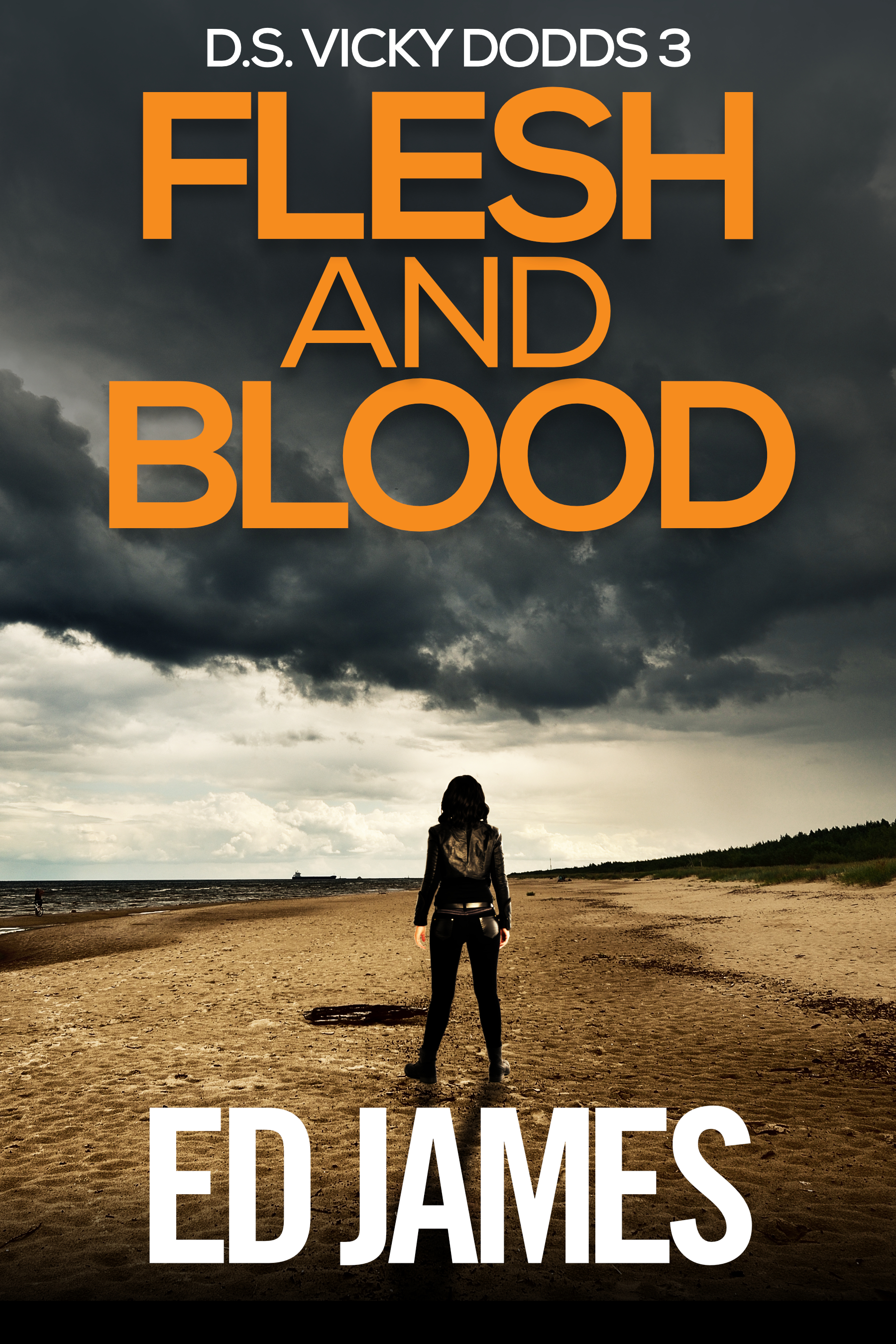 DS Vicky Dodds book cover 3