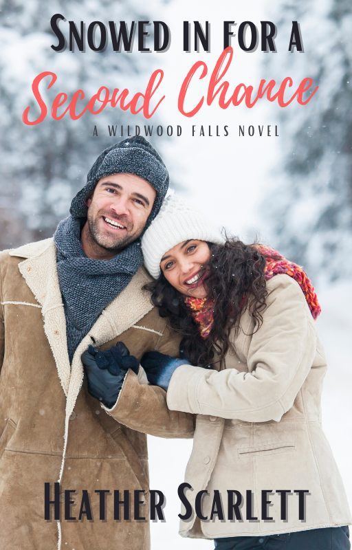 Wildwood Falls book cover 1
