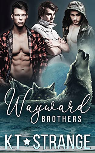 The Raven Brothers of Fallen Mountain book cover 2