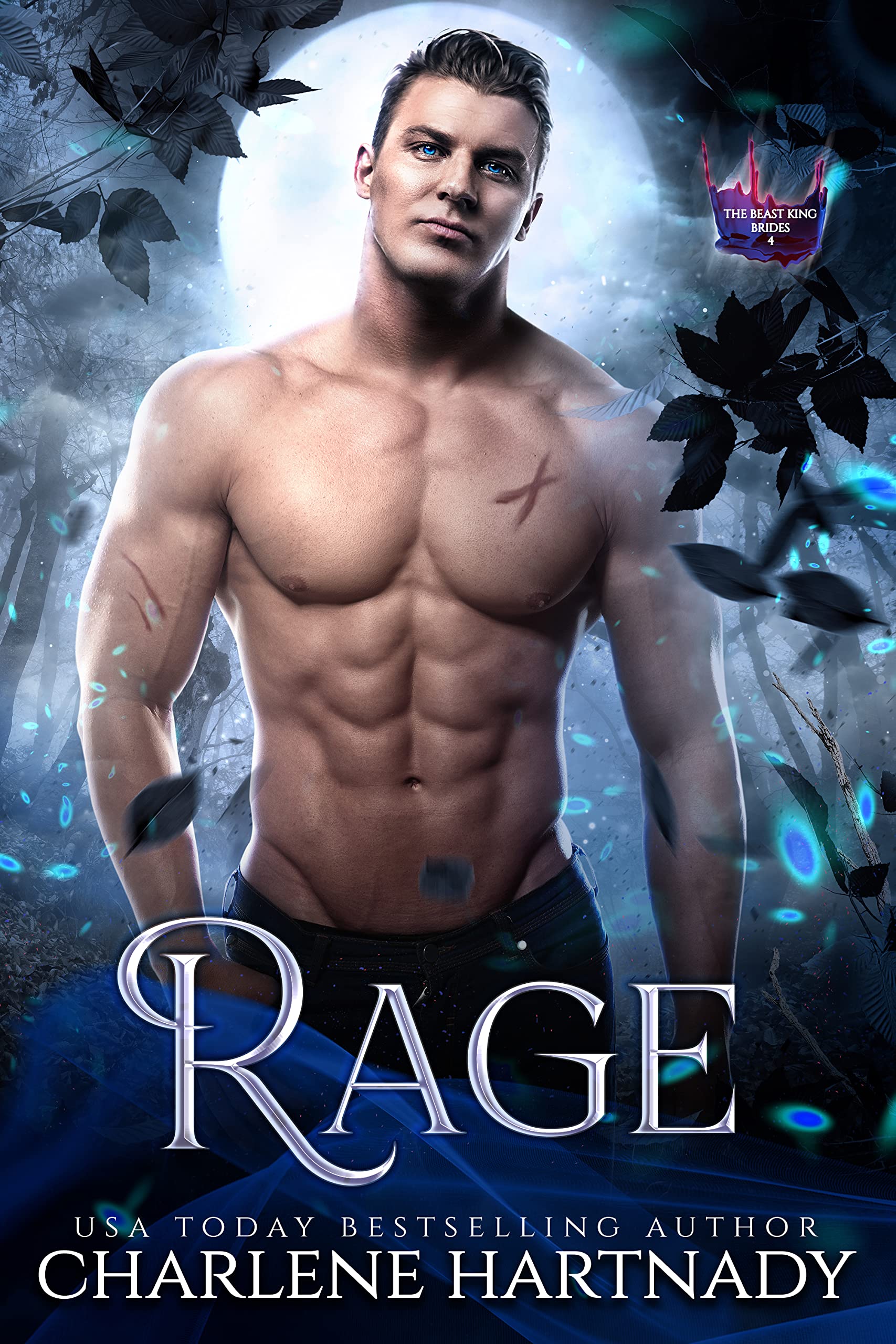 Rage book cover