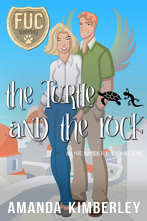 The Turtle and the Rock book cover
