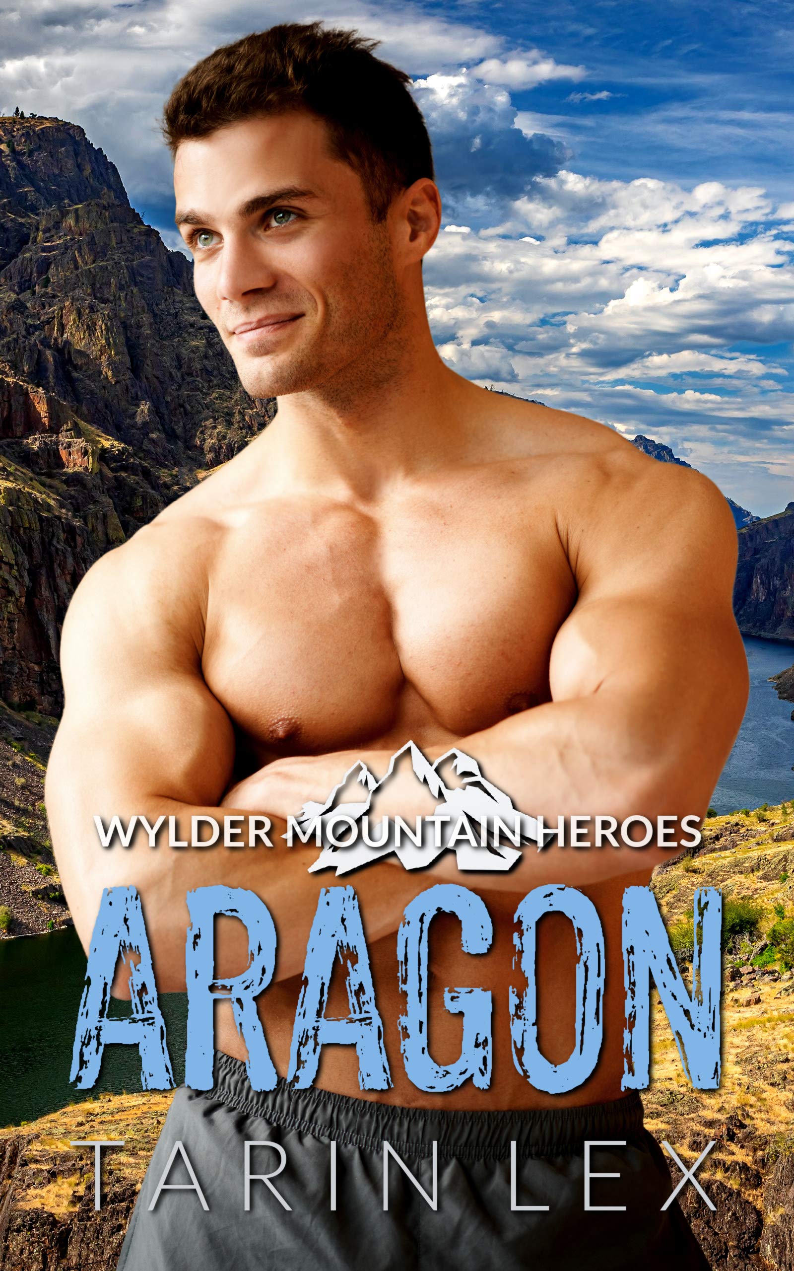 Aragon book cover