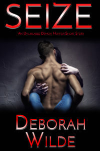 Seize book cover