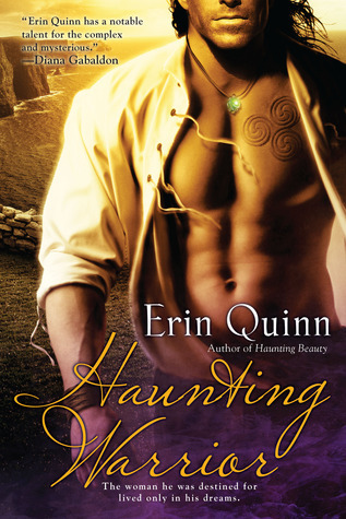 Mists of Ireland book cover 2