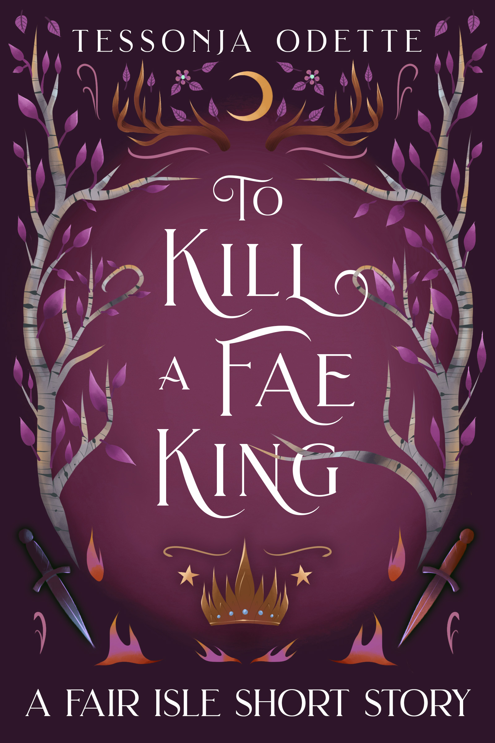 To Kill a Fae King book cover