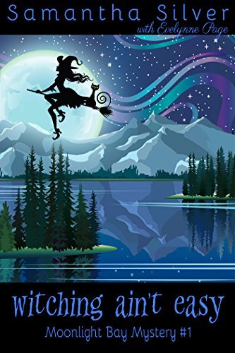 Moonlight Cove Mystery book cover 1