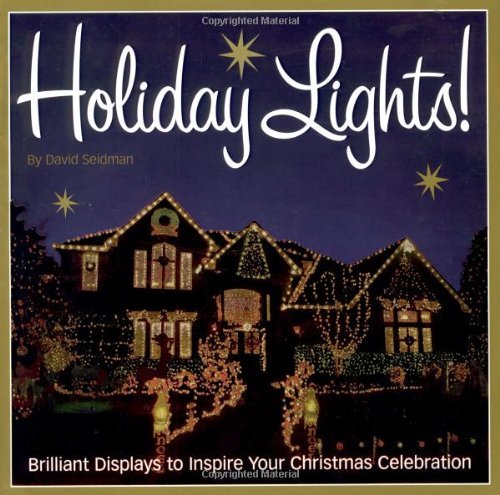 Holiday Lights! book cover
