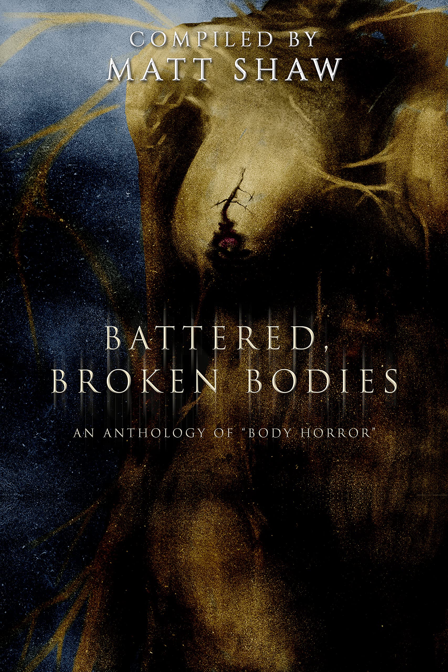 Battered, Broken Bodies book cover