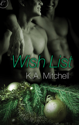 Wish List book cover