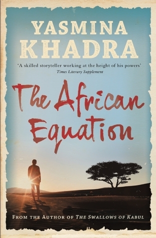 The African Equation book cover