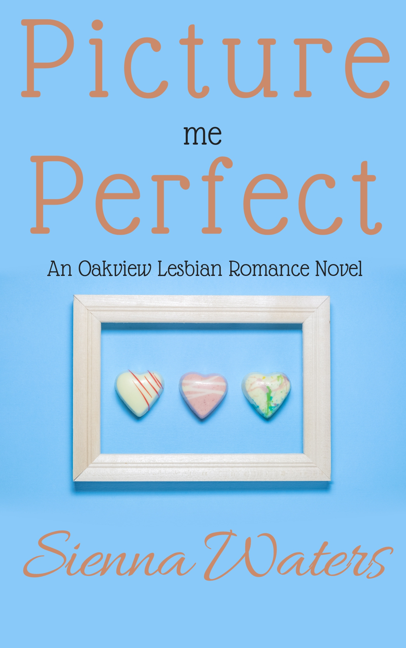 Picture Me Perfect book cover
