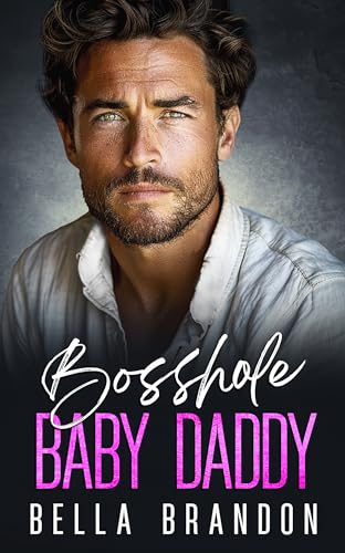 Bosshole Baby Daddy book cover