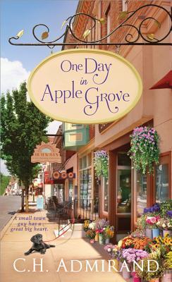 Sweet Small Town USA book cover 2