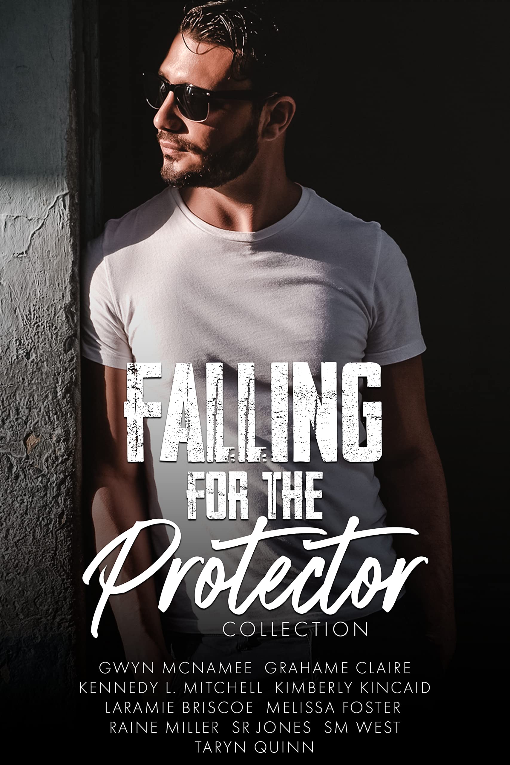 Falling for the Protector Collection book cover