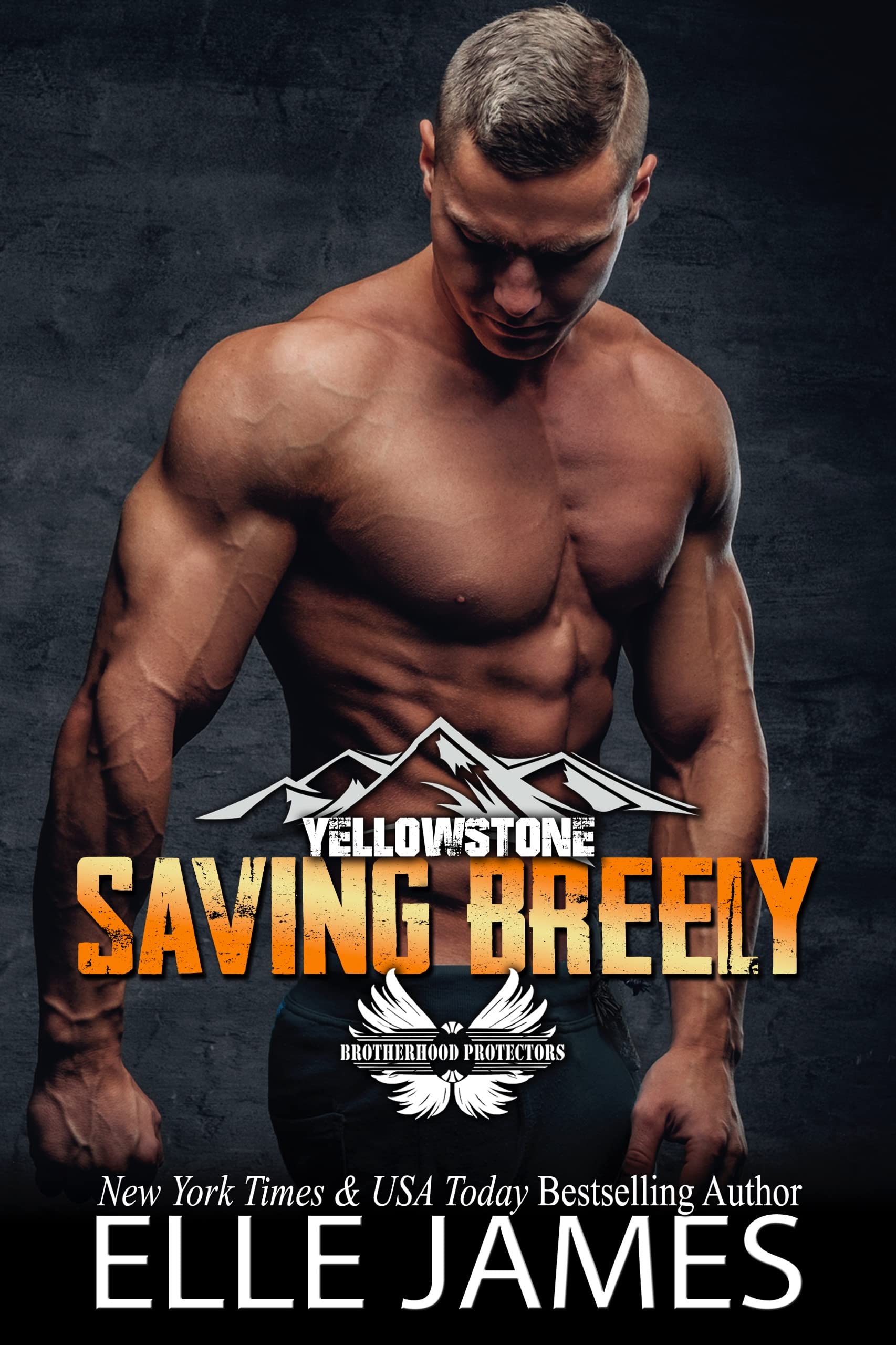 Saving Breely book cover