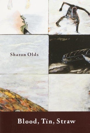 Blood, Tin, Straw book cover