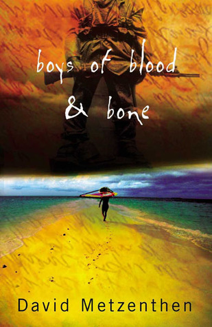 Boys of Blood & Bone book cover